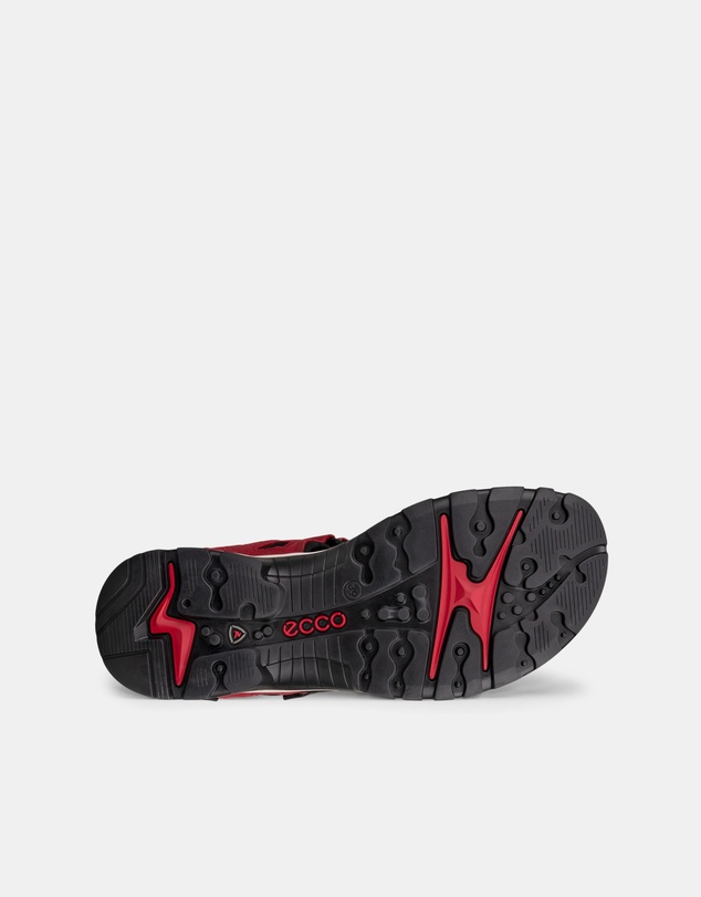 ECCO - ECCO Offroad