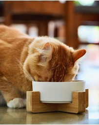 Mog & Bone - Single Bamboo Cat Bowl Natural