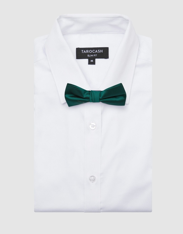 Tarocash - Bow Tie Plain