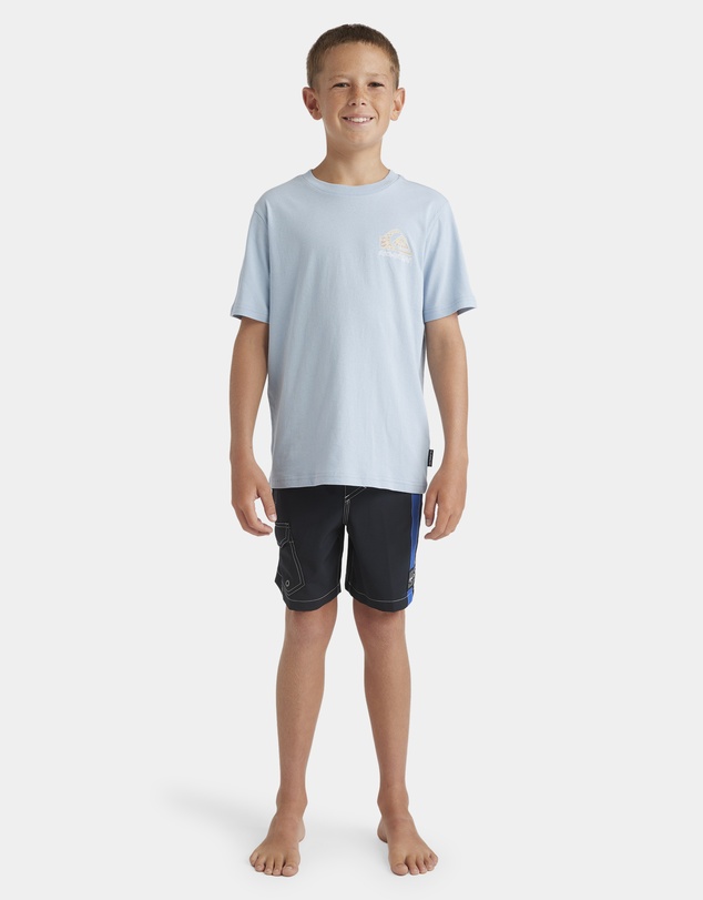 Quiksilver - Boys 8 to 16 Interconnect Volley 17