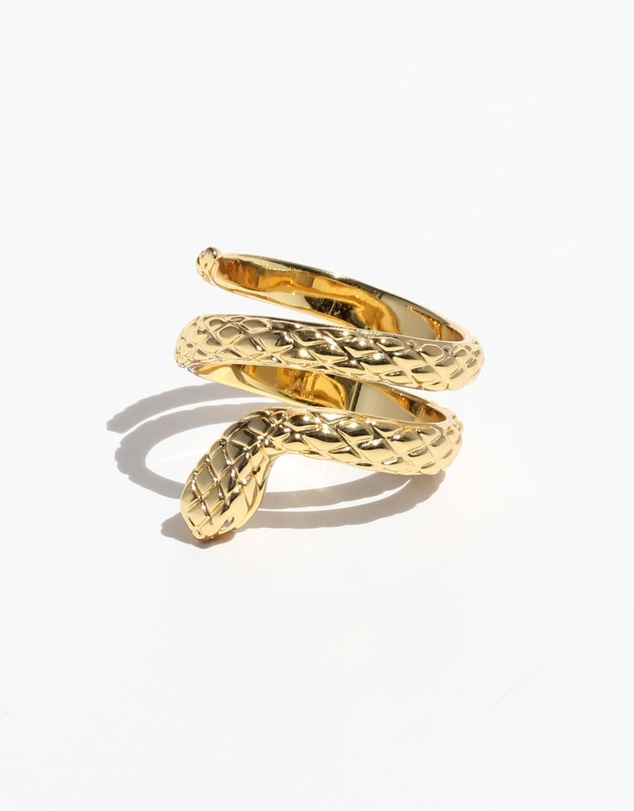 Jackie Mack - Wisdom Spiral Ring