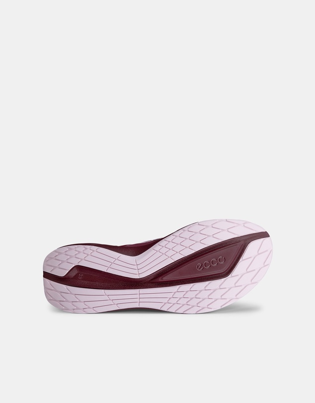 ECCO - ECCO Biom 2.2