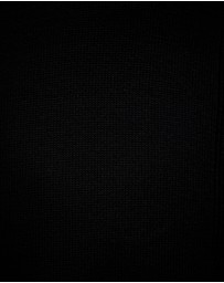 Politix - Dezra Roll Neck Knit