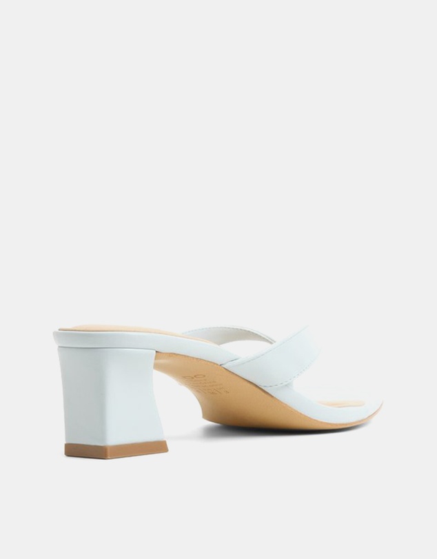 ALDO - Hazy Heels