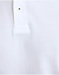 Oxford - Austin Organic Cotton Polo