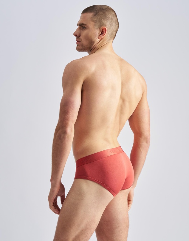 TEAMM8 - Reign Brief