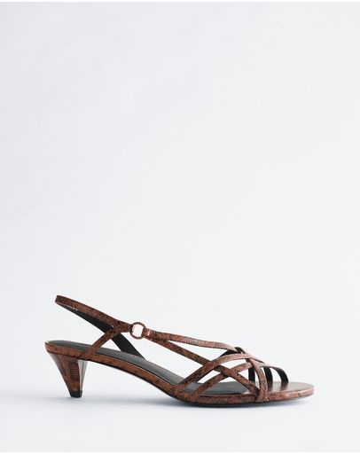 Brown & Snake Print