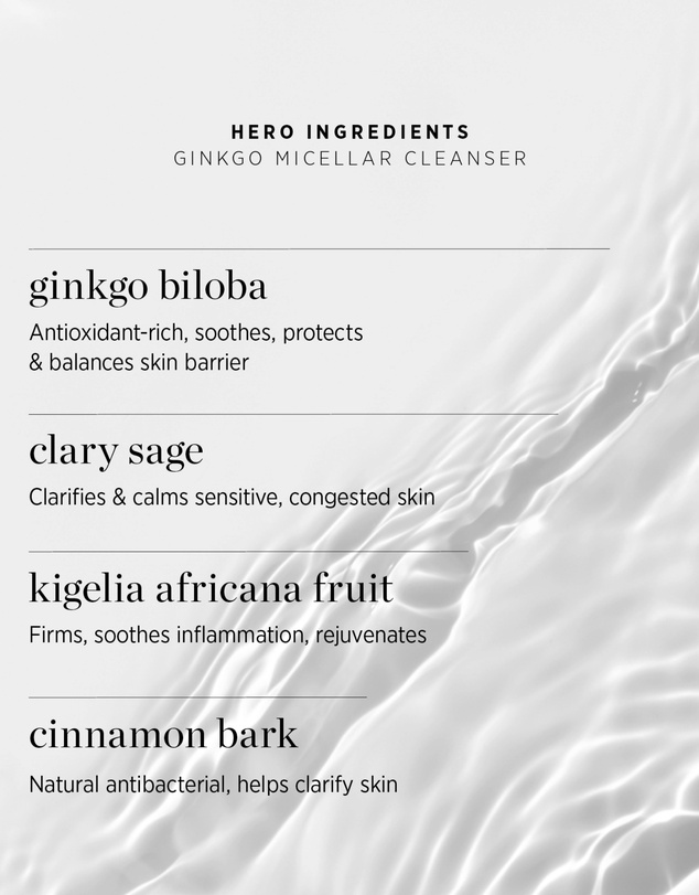 Ere Perez - Ginkgo Micellar Cleanser Tablets