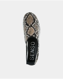Senso - Cassidy II