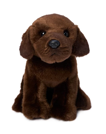 Animal Allsorts - Milo Labrador