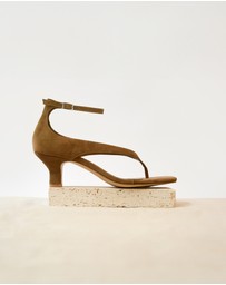 Senso - Palmer