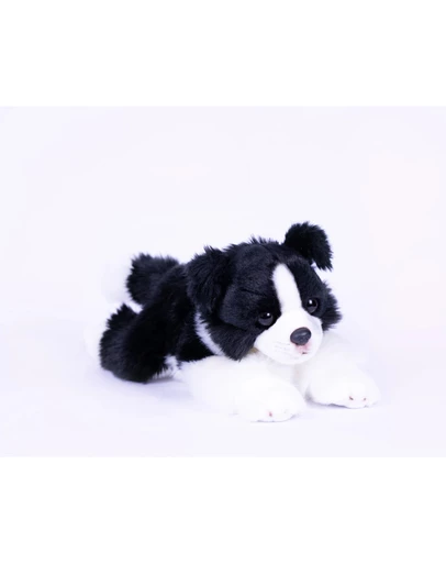 Animal Allsorts - Jasper Border Collie