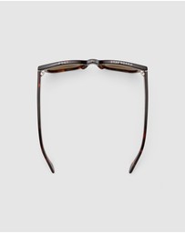 Caddis - Miklos Bi Focal Sun Reader