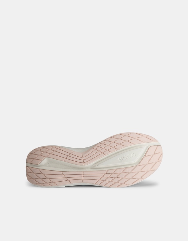 ECCO - ECCO Biom 2.2