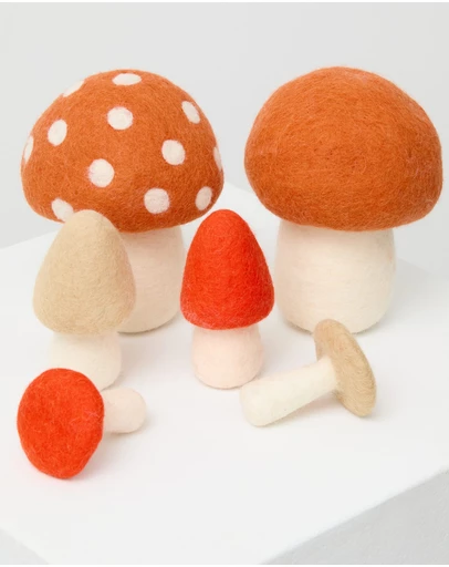Phile - Crate of Mushrooms - Red