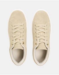 Tommy Hilfiger - TH Feminine Cupsole Suede Sneakers - Women's