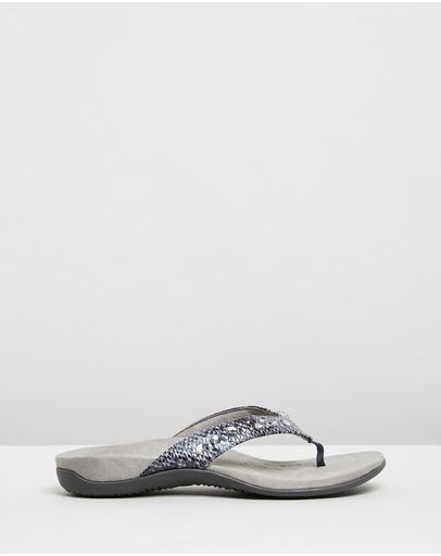 Slate Grey Snake