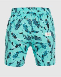 Tolu Australia - Boys Swim Shorts With Whale Sharks