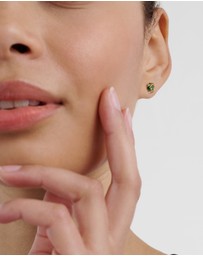 Ted Baker - GEMME: Crystal Gem Cluster Stud Earrings