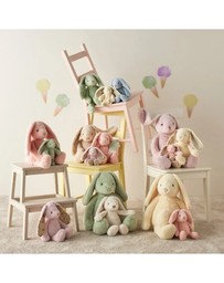 Jiggle and Giggle - Floral Pink Bunny Medium