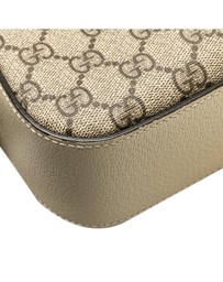 Pre-Loved by Azura Reborn - Pre-Loved Small GG Supreme Textured Calfskin Web Ophidia Camera Bag