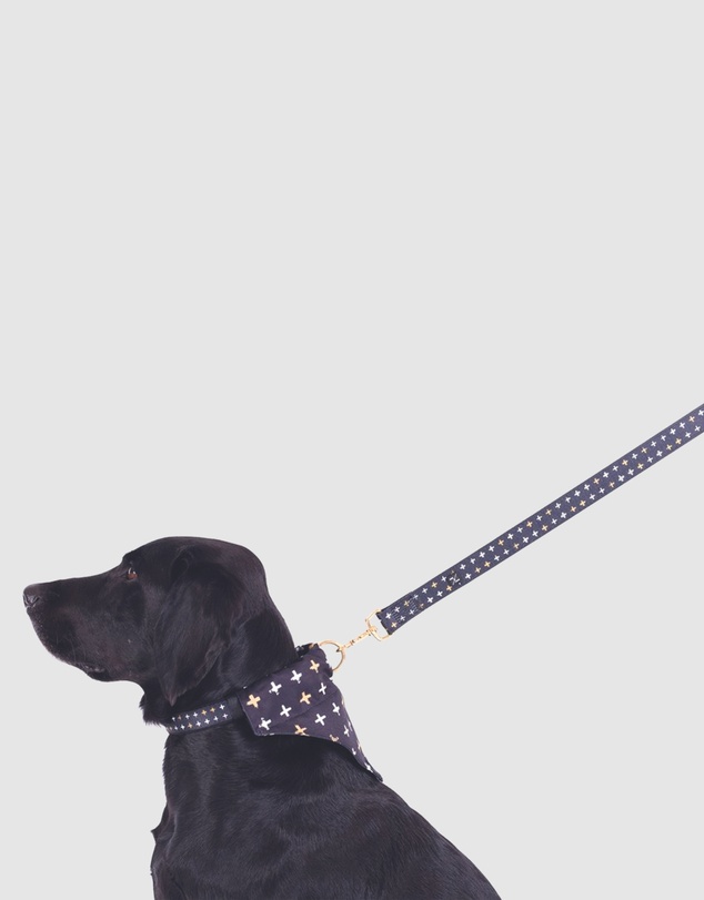 Mog & Bone - Neoprene Lead - Black Metallic Cross Print