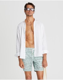 Aqua Blu Australia - Evergreen Boardshorts