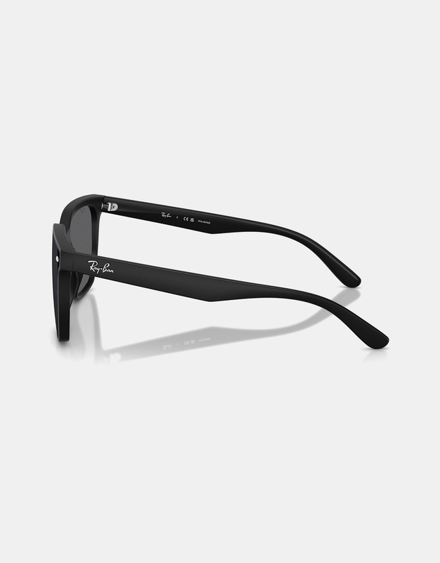Ray-Ban - 0Rb4466D