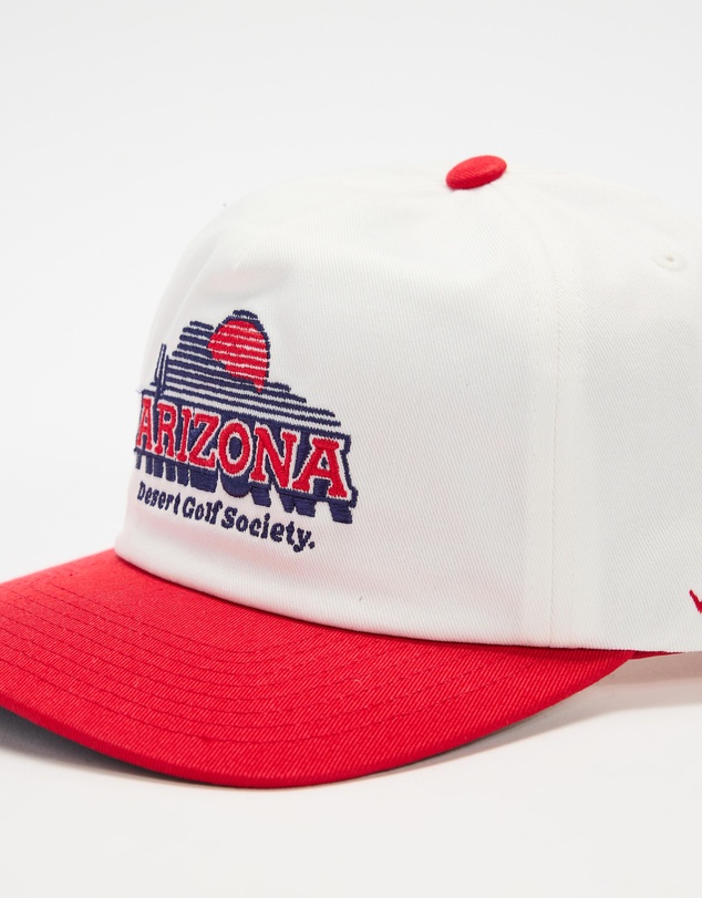 Birds of Condor - Arizona Snapback