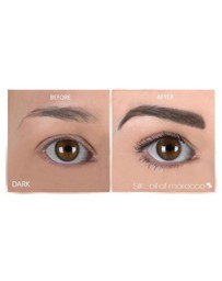 Silk Oil of Morocco - Brow & Lash Duo