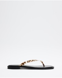 Dazie - Ruby Tortoiseshell Thongs