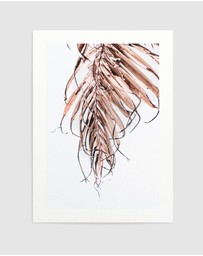 Olive et Oriel - Golden Palm I Art Print