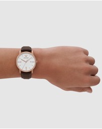 Emporio Armani - Brown Analogue Watch