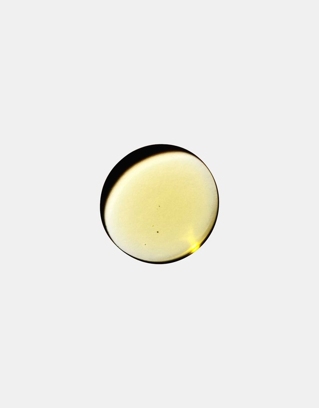 DAME - Massage Oil