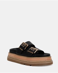 Novo - Samaira Slides