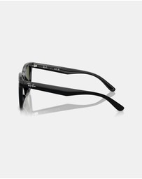 Ray-Ban - 0RB4420
