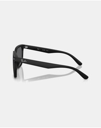 Ray-Ban - 0Rb4466D