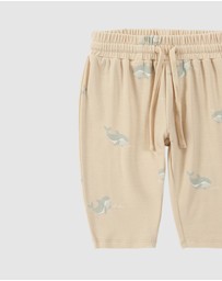 Susukoshi - Boxy Tee x Pant Set