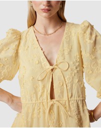 & Other Stories - Embroidered Mini Dress