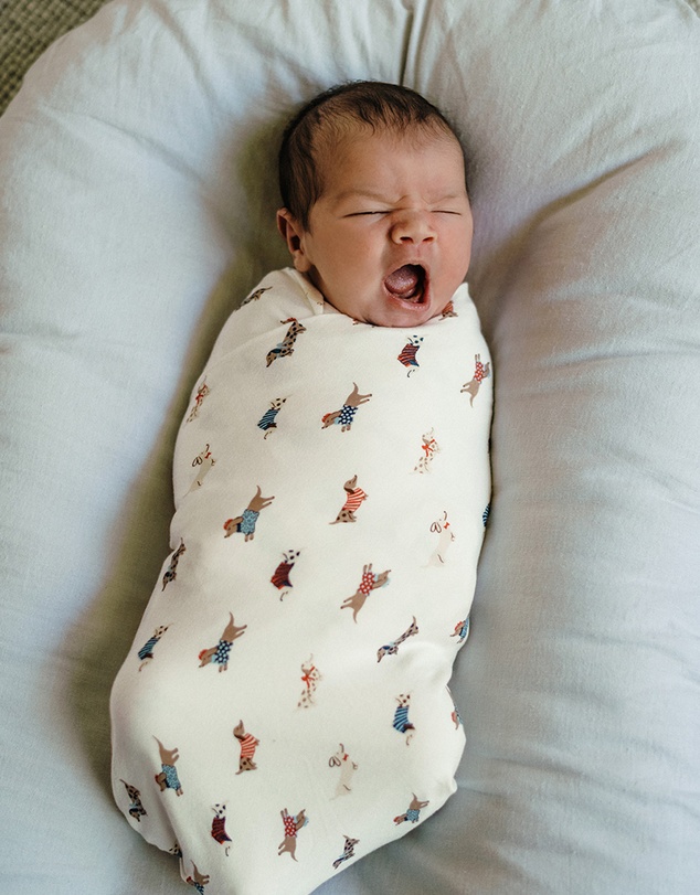 Kynd Baby - Large Stretchy Swaddle in Dachshund