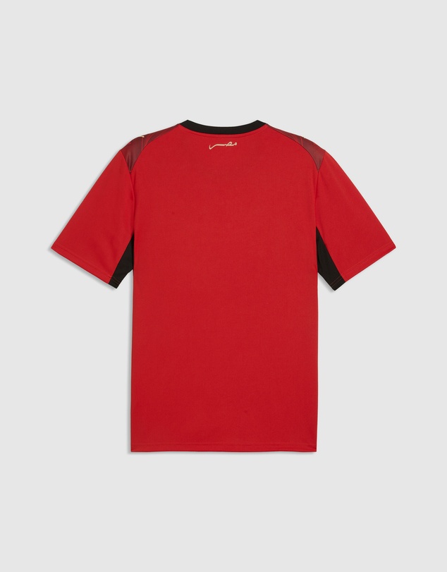 Puma - Egypt Home Jersey - Men