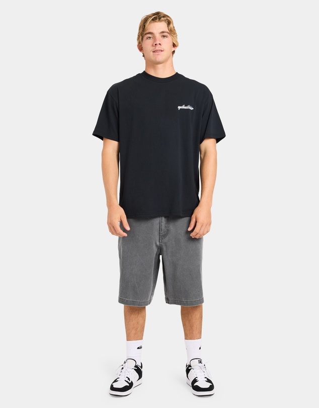 Quiksilver - Mens Alpha T-Shirt