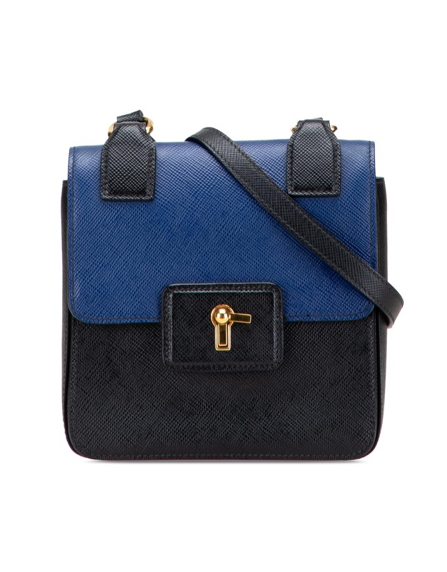 Pre-Loved by Azura Reborn - Pre-Loved Bicolor Saffiano Cuir Flap Crossbody