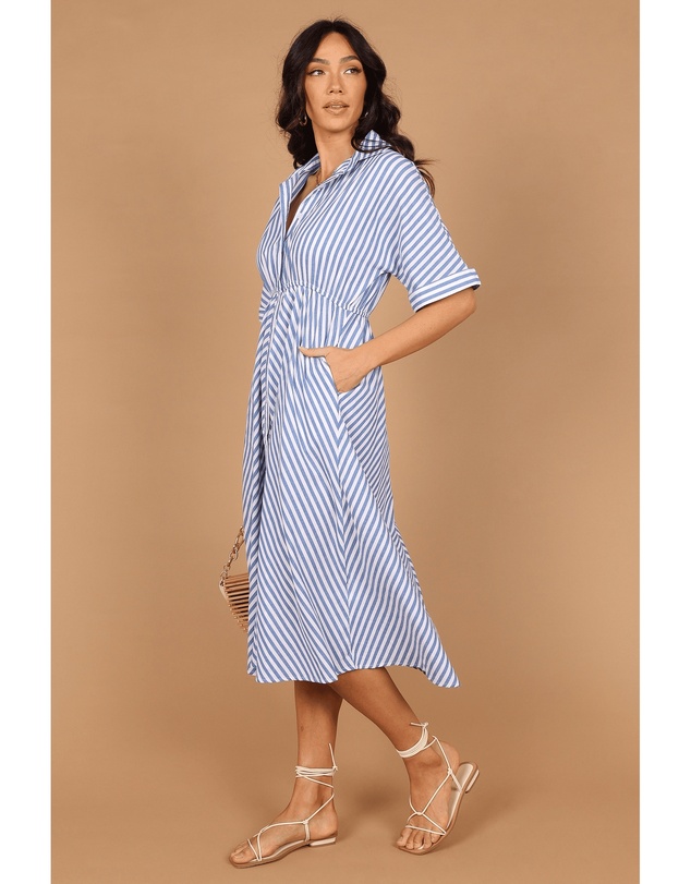 Petal & Pup - Finn Collared Midi Dress - Blue Stripe