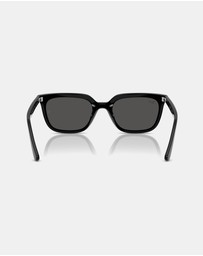Ray-Ban - 0RB4439D