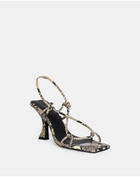 Sol Sana - Verne Heel Python