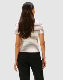 Tommy Hilfiger - Tipping Slim Button Down Short Sleeve Polo
