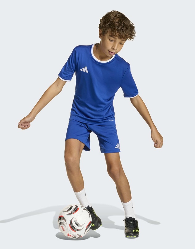 adidas Performance - Entrada26 Football Shorts Kids