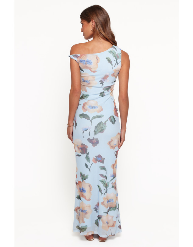 Petal & Pup - Loulani Maxi Dress - Pale Blue Floral