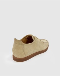 Oxford - James Suede Lace Up Shoe